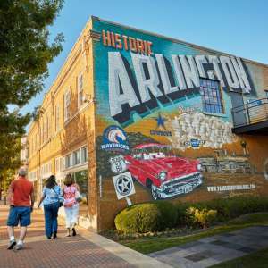 Tree care services in Arlington, Texas