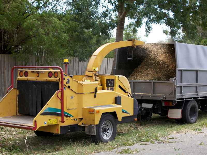 Tree Debris Removal