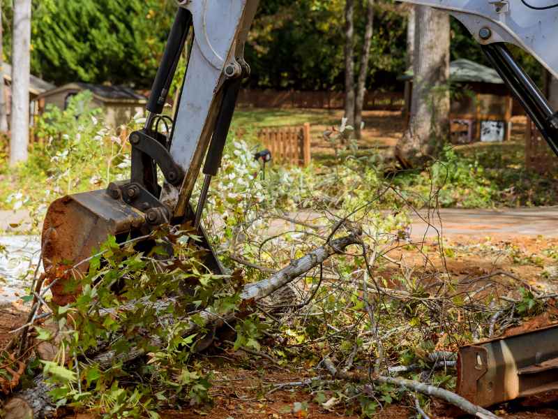 Tree debris cleanup by Fast Tree Care in Allen Texas