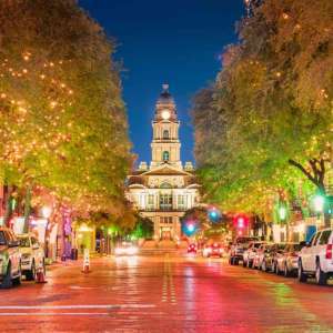 Tree care services in Fort Worth, Texas