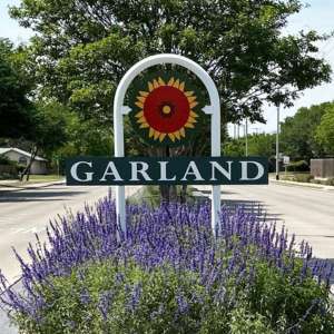 Tree care services in Garland, Texas