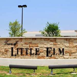 Tree care services in Little Elm, Texas