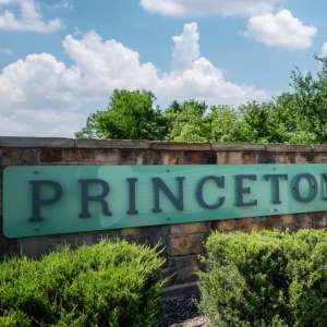 Tree care services in Princeton, Texas