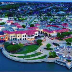 Tree care services in Rockwall, Texas