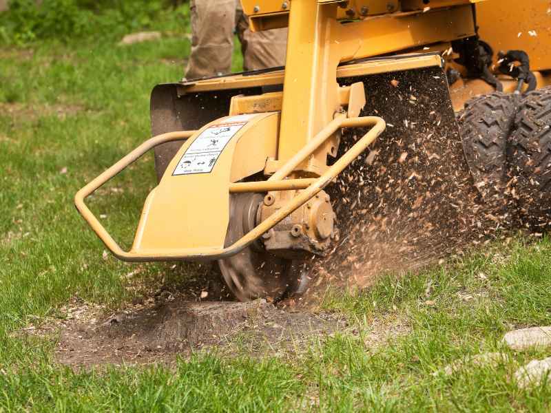 Professional stump grinding in Dallas area