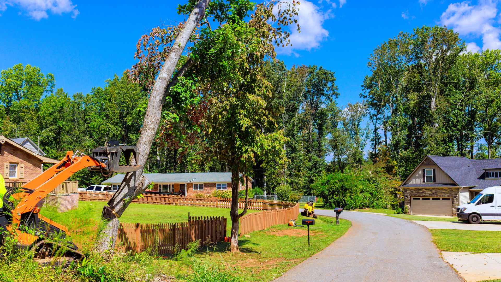 Allen, Texas Tree Removal: A Responsible Approach