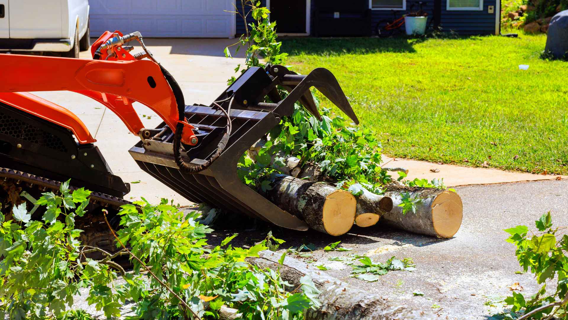 Expert Tree Removal Services Allen, TX