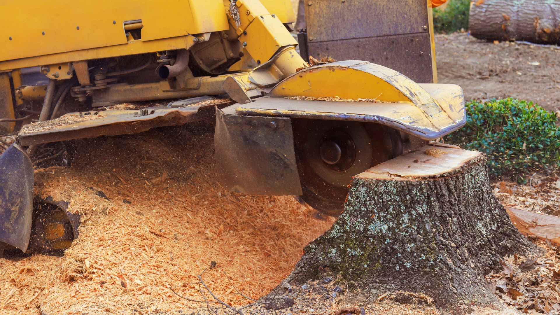 Professional Stump Grinding | Allen, TX